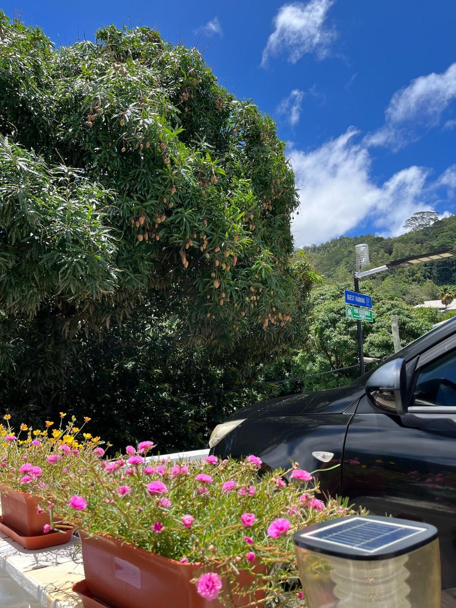 360 Degrees Villa 维多利亚 外观 照片